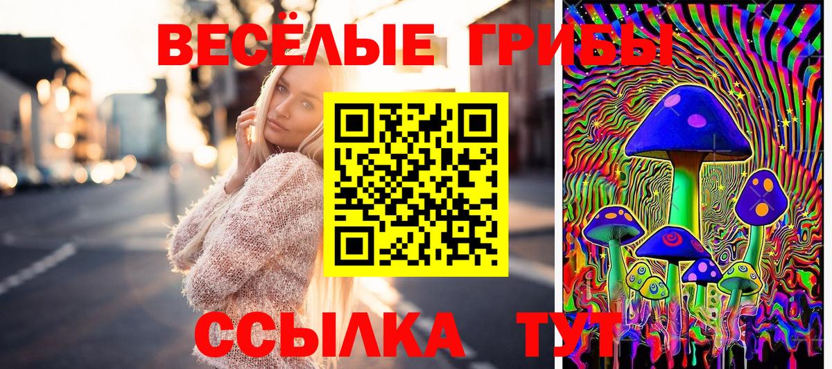 Псилоцибиновые грибы ЛСД  Вход с VPN  Псилоцибиновые грибы Cubensis  Красноармейск 