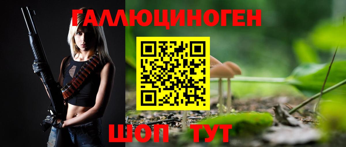 Галлюциногенные грибы Cubensis Красноармейск